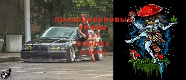гидра Краснотурьинск