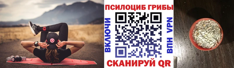Псилоцибиновые грибы прущие грибы blacksprut как зайти Лангепас купить закладку
